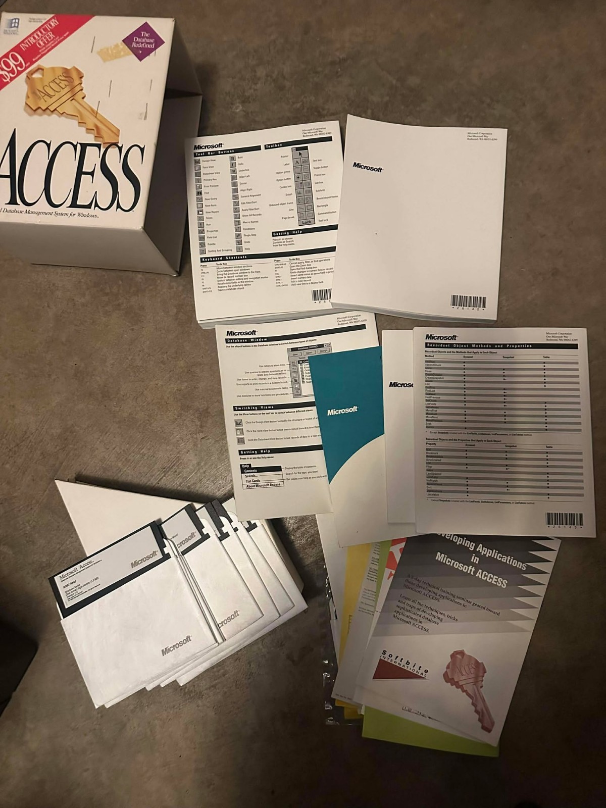 Microsoft Access Database Management System Widows 3.1 – Vintage