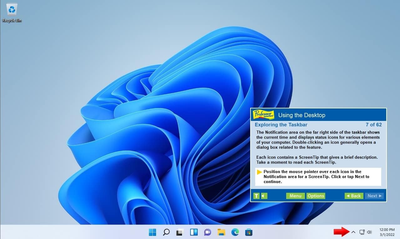 Professor Teaches Super Set 12 Windows PC Office 2021 2019 QuickBooks Training