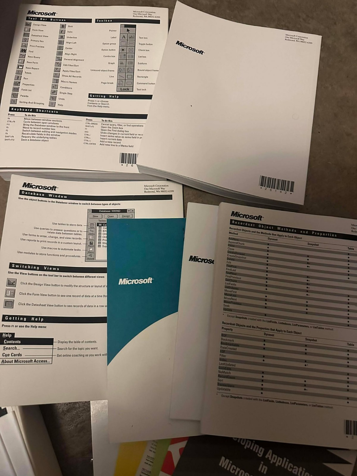 Microsoft Access Database Management System Widows 3.1 – Vintage