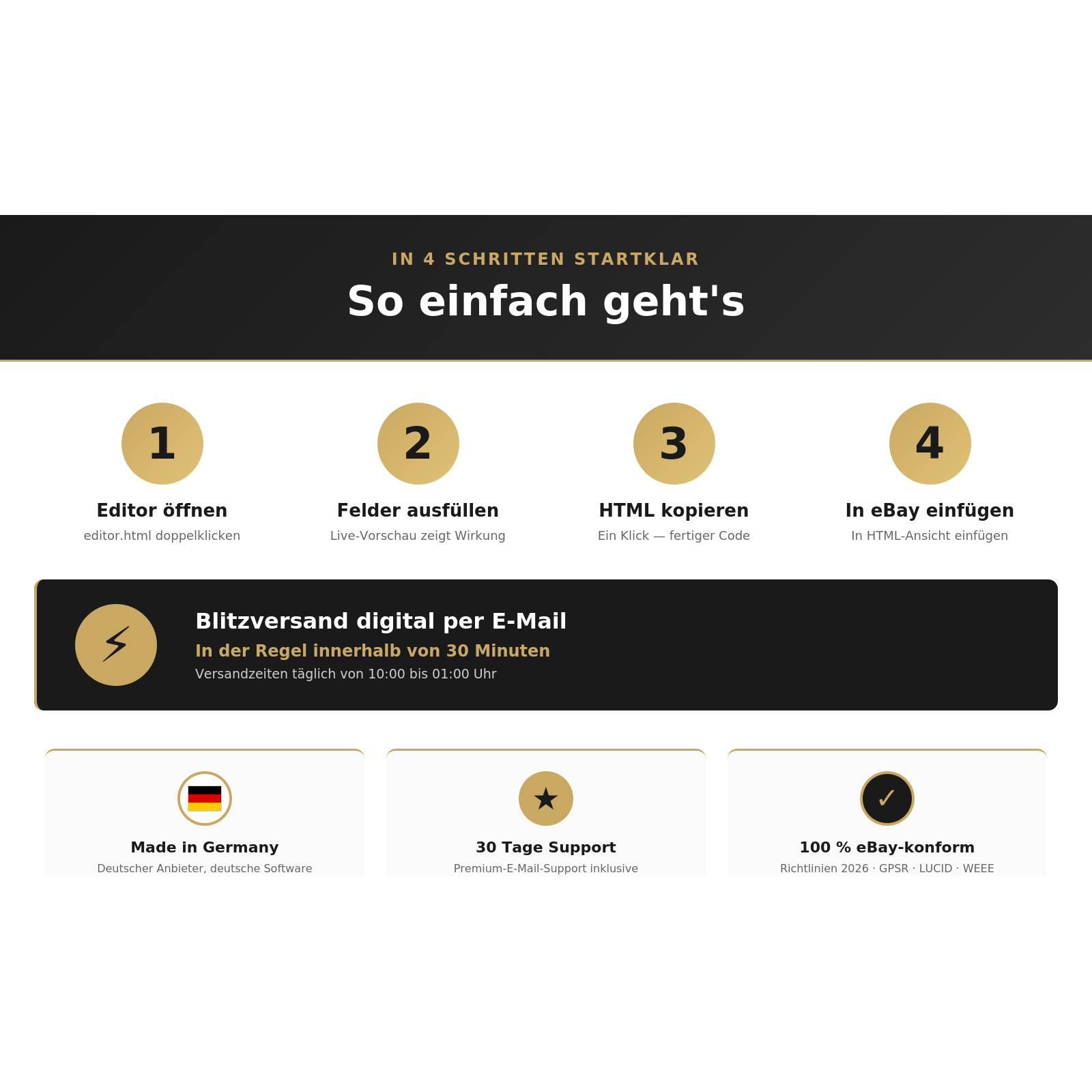eBay Template Premium 2026 Browser Editor Live Preview 18 Modules HTML Responsive