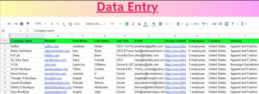 Professional Data Entry & Spreadsheet Services – Fast & Accurate (Remote)