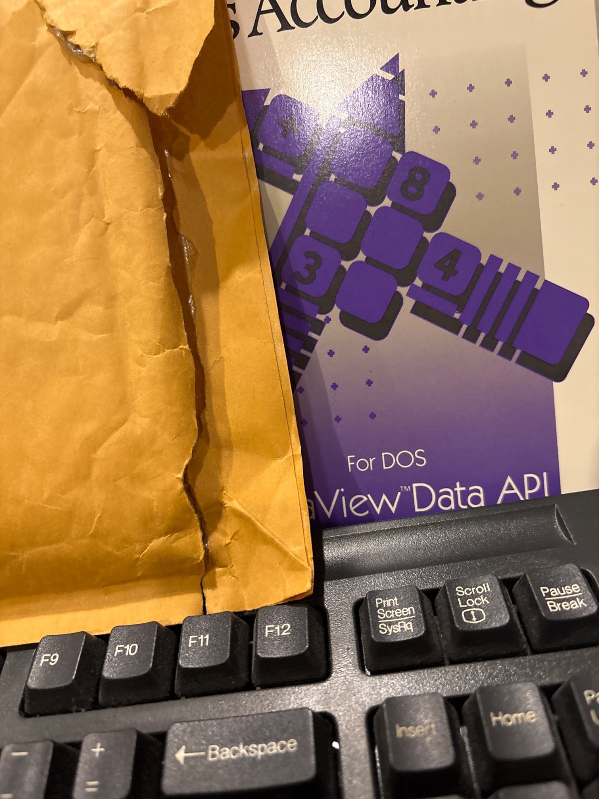 BRAND NEW ACCPAC PLUS Accounting for DOS Dynaview Data API.