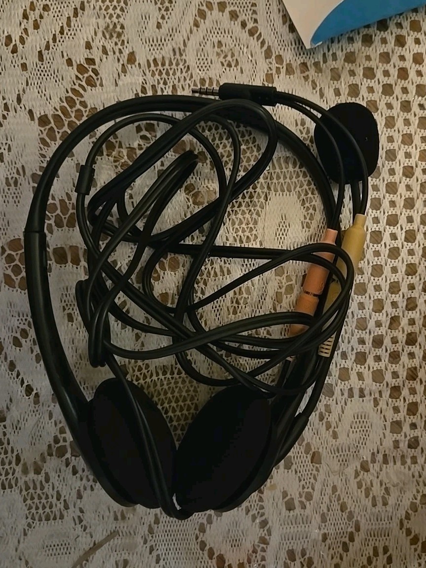 Nuance Dragon Naturally Speaking Home Speech – Just The Headphones