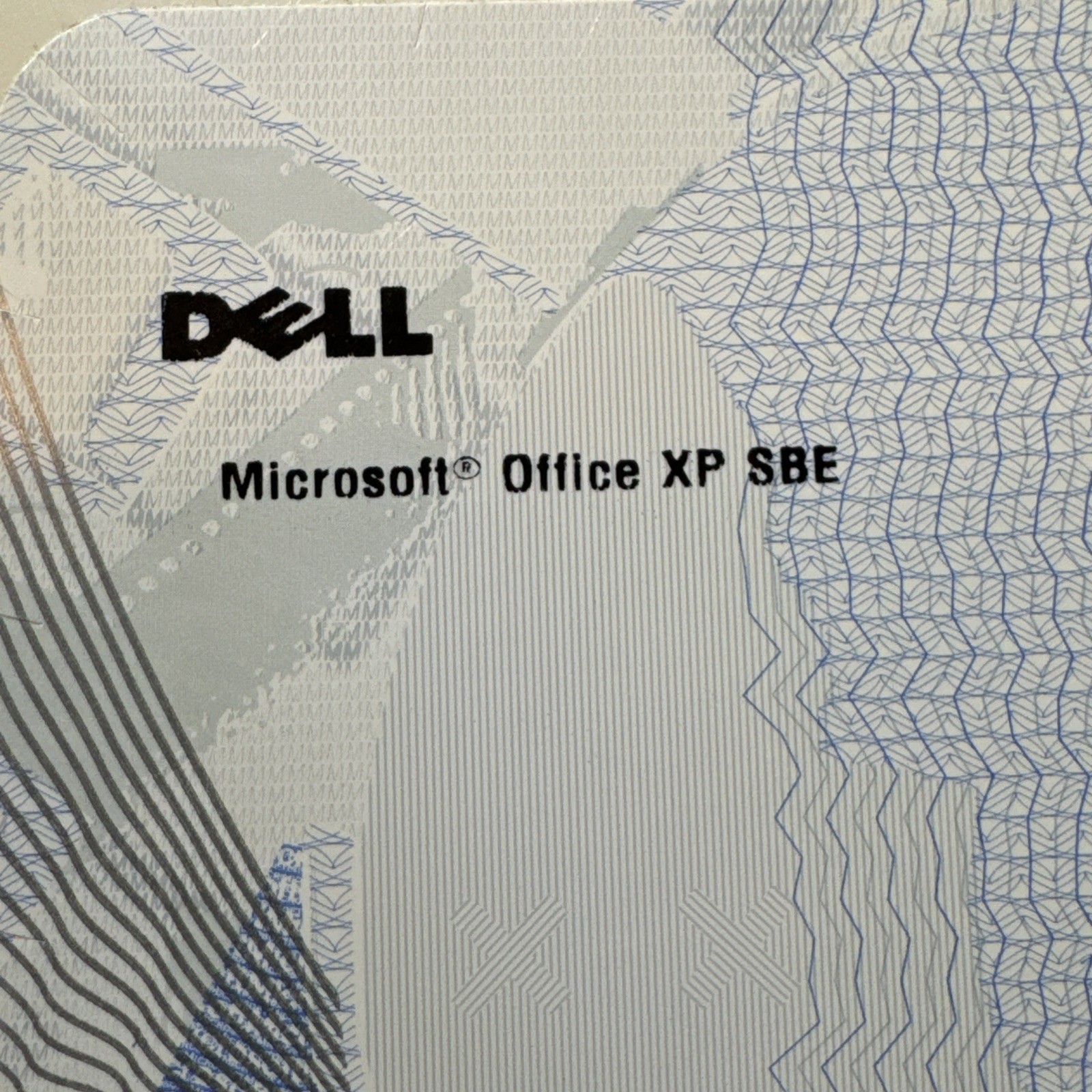 2001 Microsoft Office XP Small Business SBE for Windows Discs w/ Product Key