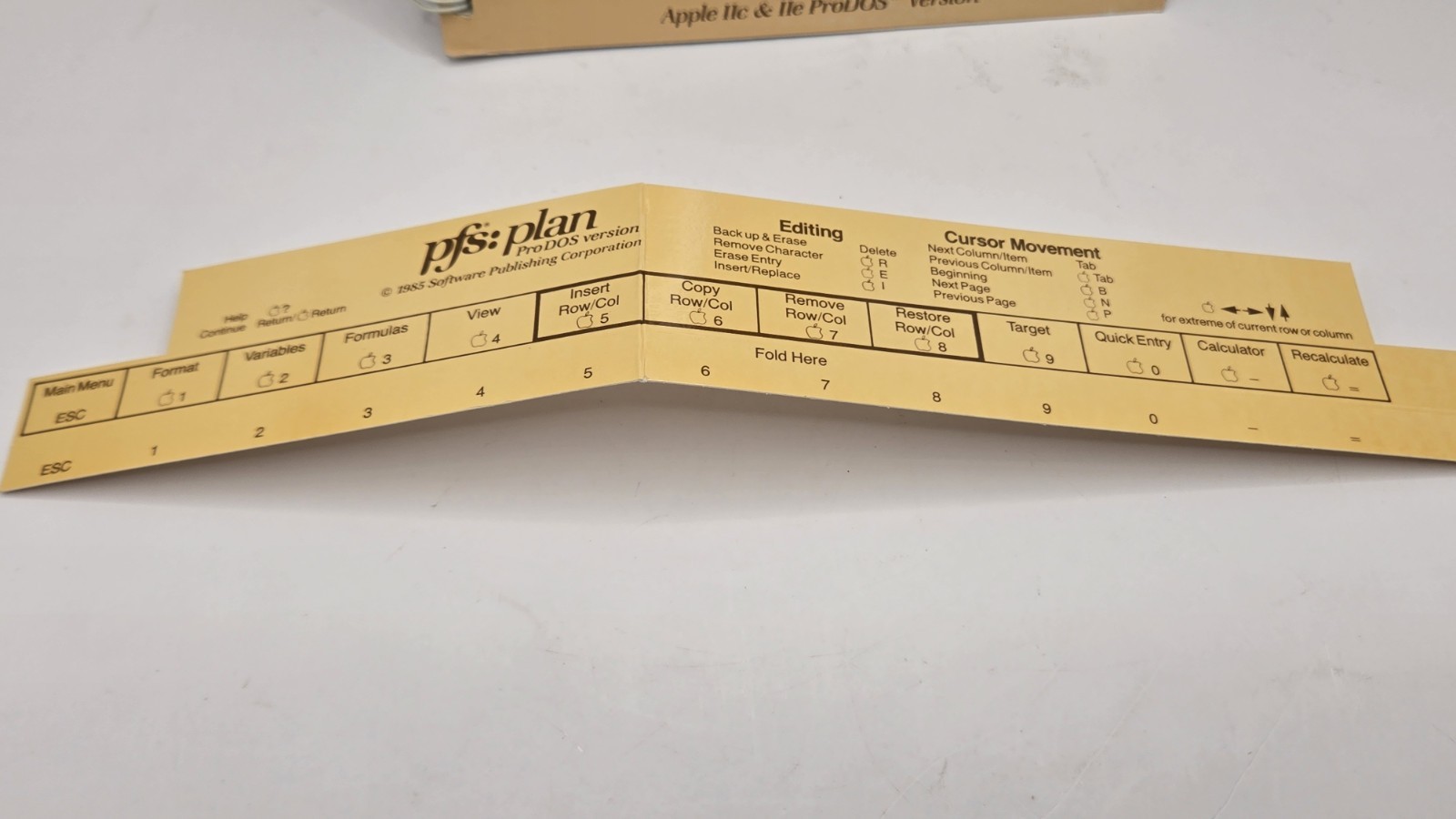 Vintage 1980s PFS: Write File Report Plan Software For Apple IIc/IIe ProDOS