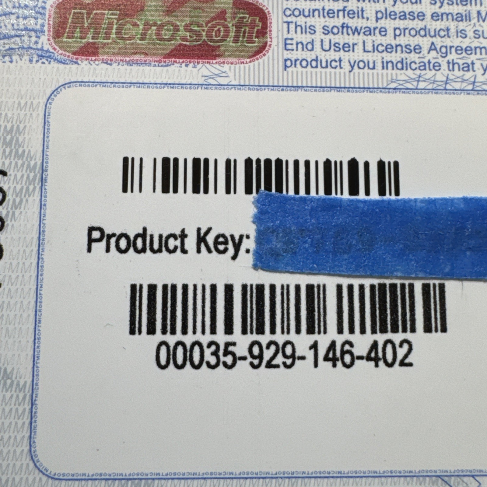 2001 Microsoft Office XP Small Business SBE for Windows Discs w/ Product Key