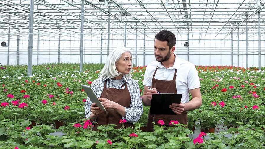 Greenhouse Nursery Business Plan