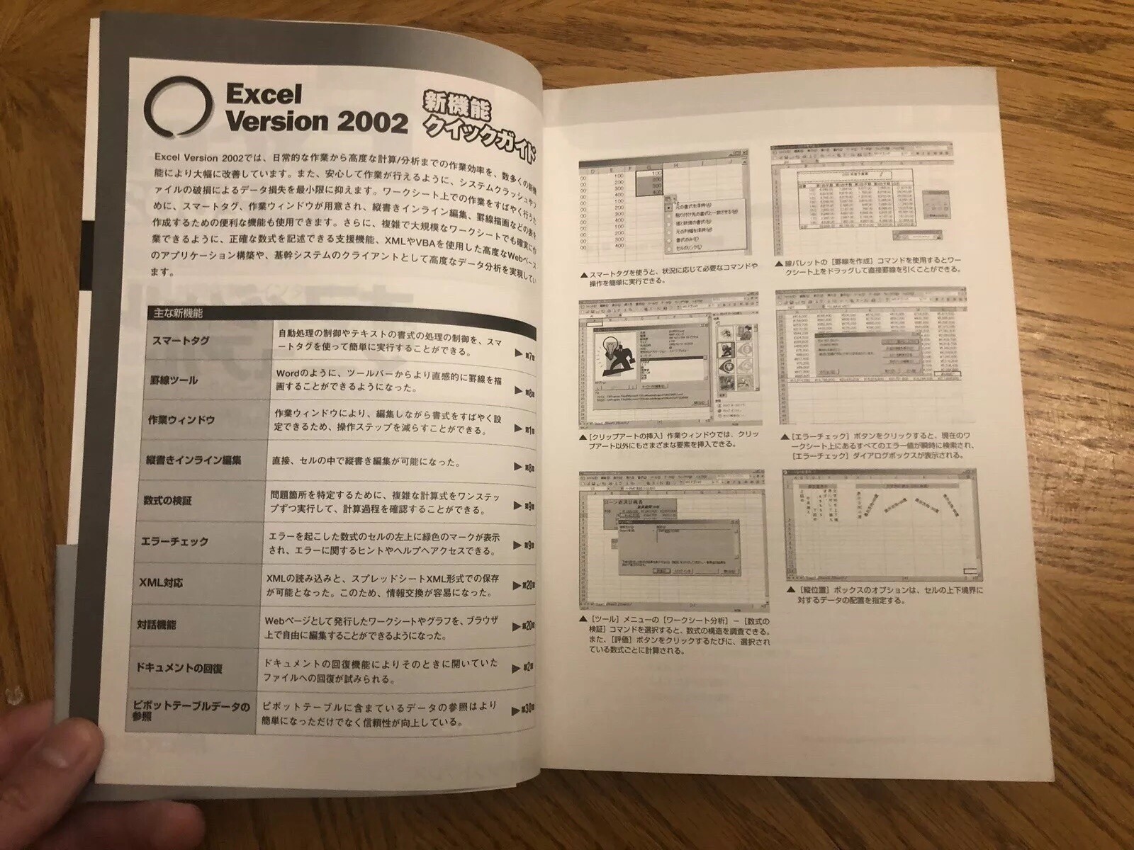 Microsoft Excel 2002 Training Book, Japanese Or Chinese By Mark Dodge