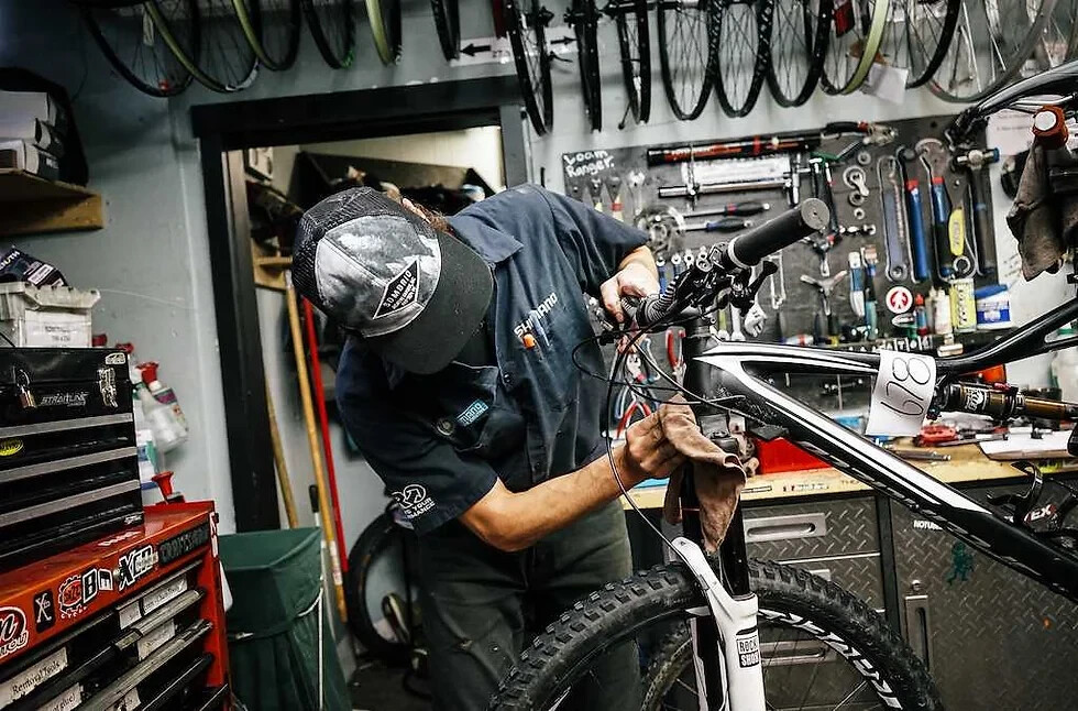 Electric Bike Shop E Bike Business Plan