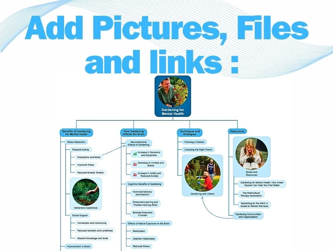 SimpleMind Pro / License key lifetime, global Multilingual, Original seller