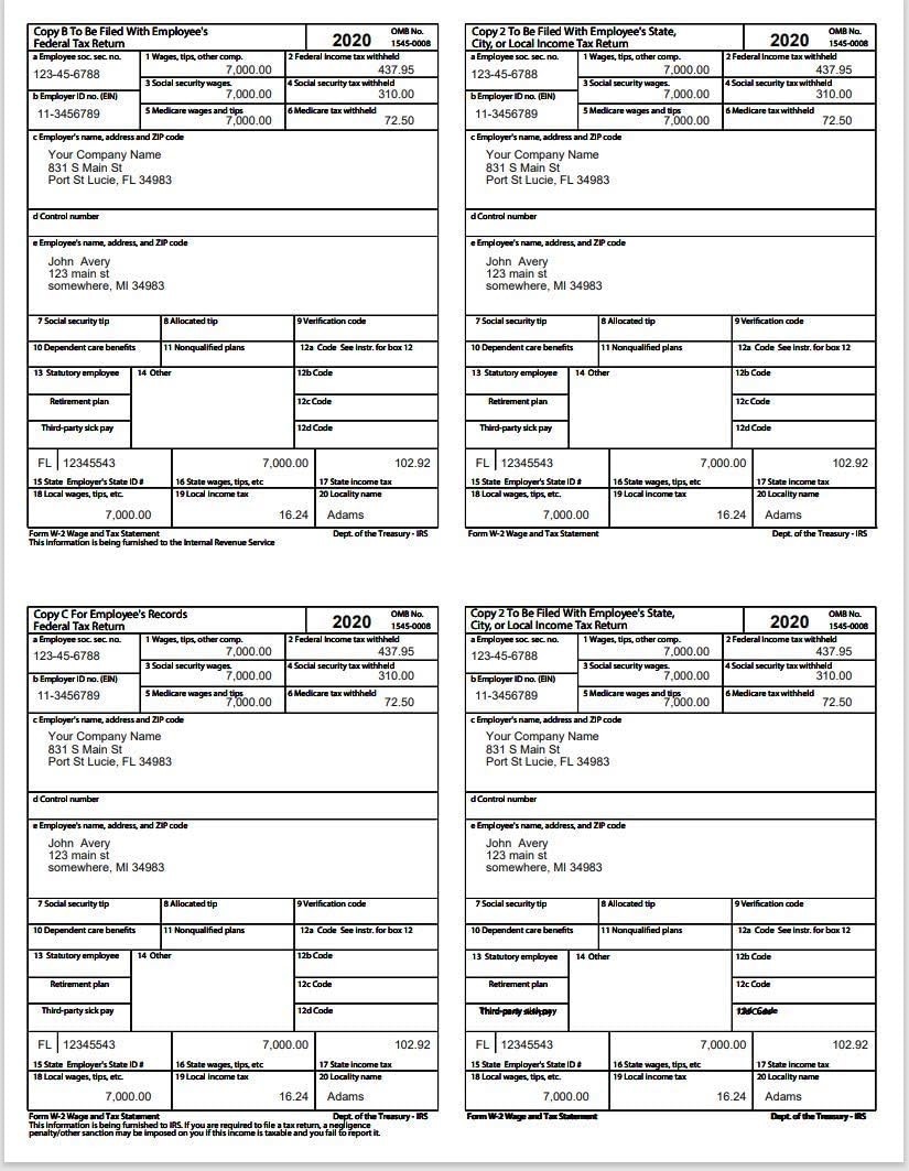 Payroll Software with Forms Generation for W-2s and 1099s – Windows Compatible
