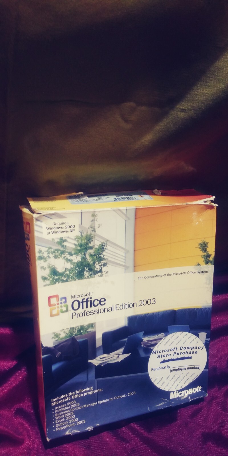 Microsoft Office Professional 2003