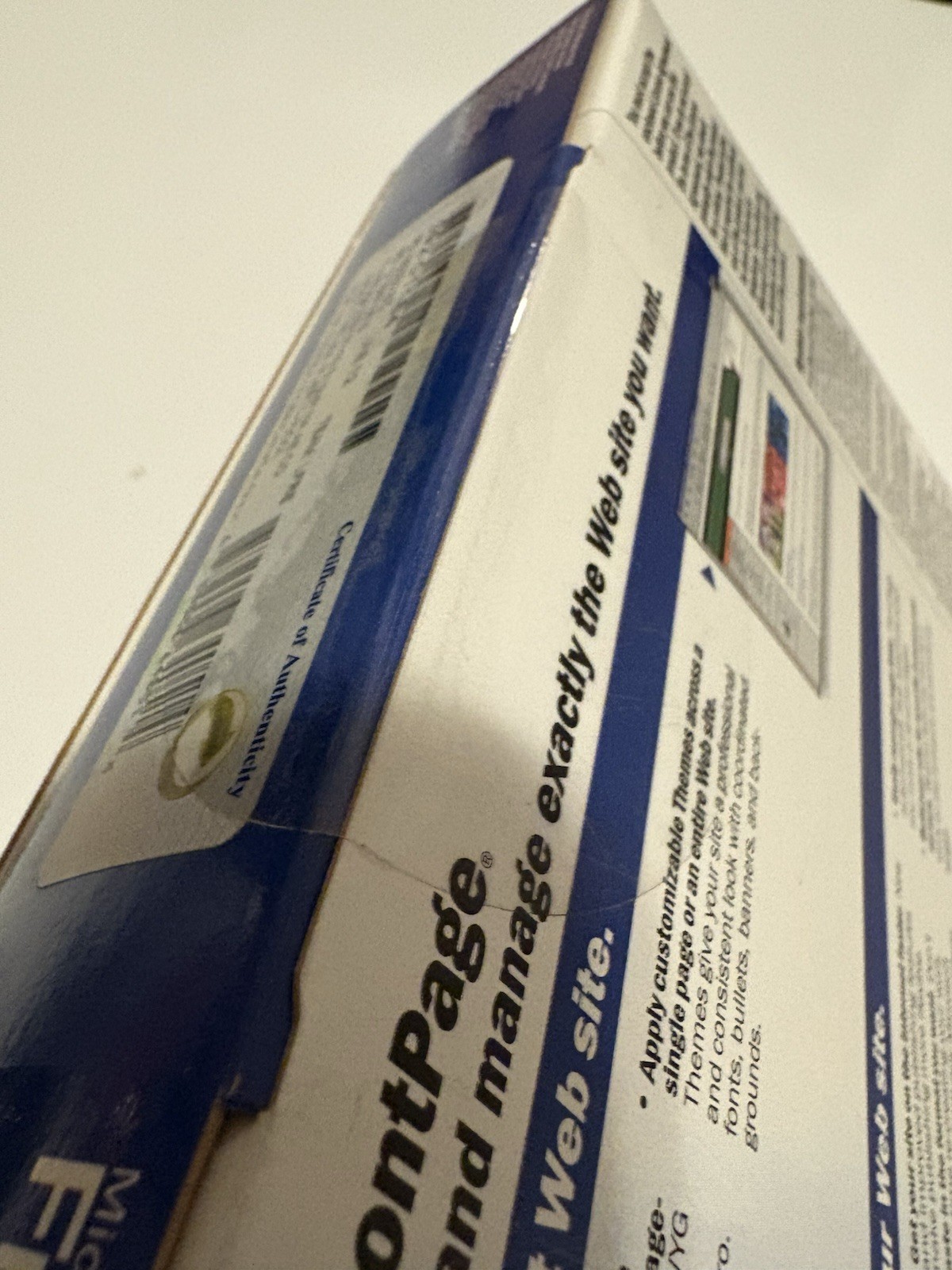 Microsoft FrontPage Version 2002, Windows 98