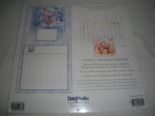 Baby’s First Year Undated 12 Month Calendar Record Firsts